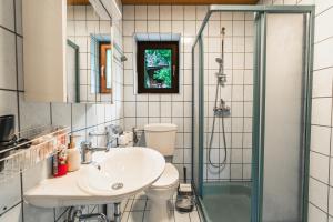 a bathroom with a toilet and a sink and a shower at Zentral am Fluss #2 in Bad Ischl
