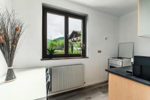 a kitchen with a window and a stove at Zentral am Fluss #2 in Bad Ischl
