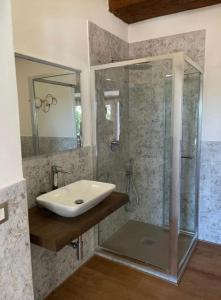 a bathroom with a sink and a shower at Antico Casale dell'800 in Albinia