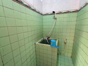 a shower in a green tiled bathroom with a hose at Hotel Sinar Khatulistiwa in Singkawang +90 photos