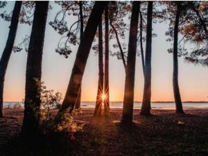Gallery image of House near Lake Biscarrosse in Parentis-en-Born