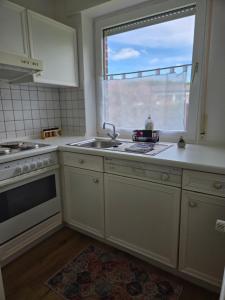 a kitchen with a sink and a window at PrimeBnb Schneeberg in Willingen