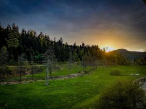 a green field with the sun setting in the background at Haus Gisela in Forbach