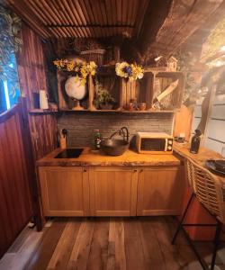 a kitchen with a sink and a microwave at Captain's Jacuzzi&sauna in Condé-Sainte-Libiaire