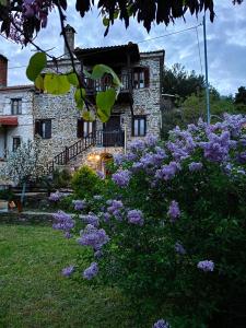 ein Garten mit lila Blumen vor einem Gebäude in der Unterkunft Αρχοντικό Πανόραμα in Melívoia