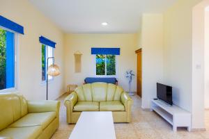 a living room with a couch and a tv at Villa Aristotelis in Argaka