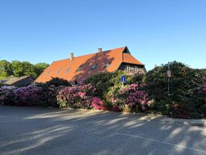 Ein Garten an der Unterkunft Christel Zwischenahn