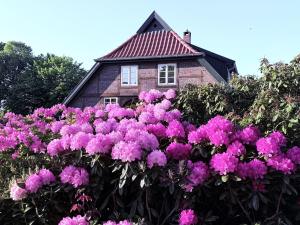 Ein Garten an der Unterkunft Christel Zwischenahn