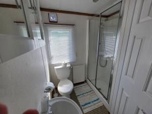 a bathroom with a toilet and a shower and a sink at Meadow Lakes 71 - Golden Palm Resort - Pet Friendly - On site Swimming Pool - On site club house - Meadow Lakes Caravan Hire in Chapel Saint Leonards