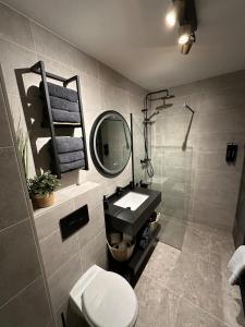 a bathroom with a sink and a mirror and a toilet at Dünenblick am Meer aber 400 meter entfernt, mit renoviertem Badezimmer in Julianadorp