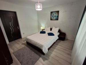 a bedroom with a bed with two blue pillows at Criss Apartament Central in Deva