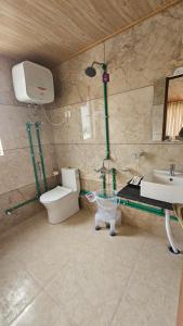 Phòng tắm tại Norden Cottage - The Alpinist +80 ảnh