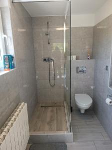 a bathroom with a shower and a toilet at Dolní Žleb 124 in Děčín