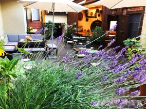 a garden with purple flowers and an umbrella at Appartements 'In Vino Veritas' in Haslach im Kinzigtal