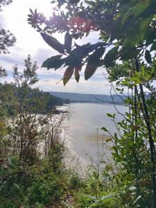 Landskap semula jadi dekat dengan apartmen