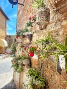 a stone wall with potted plants on it at Spello House Dormio in Spello +4 photos
