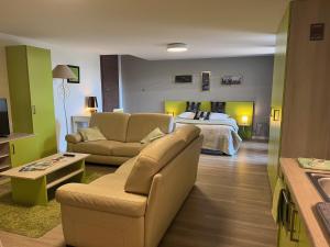Beaumont-lès-ValenceMagnifique Studio dans Villa Contemporaine au Calme avec Piscine & Parking Privé à Beaumont les Valence & Montéléger的酒店客房配有一张床、一张沙发和一张床。