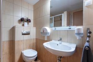 un bagno con lavandino e WC di Lucsony Apartman a Mosonmagyaróvár
