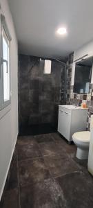 a bathroom with a shower and a toilet and a sink at La casita in Pontevedra
