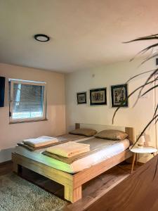 a bedroom with a bed and a window at Rivergreen in Banja Luka