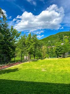 a large grassy field with trees and a mountain at Rivergreen in Banja Luka