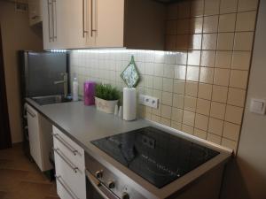 Kuchyň nebo kuchyňský kout v ubytování Apartament Sopot Oliwia