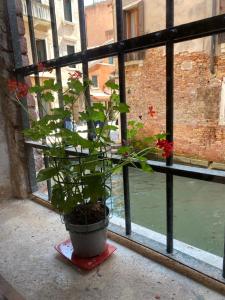 威尼斯的住宿－CANAL VIEW，相簿中的一張相片
