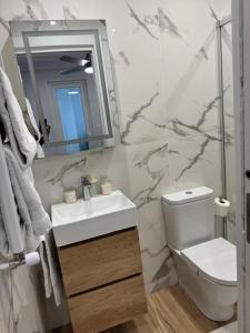 un bagno con lavandino, WC e specchio di Oasis a Bilbao