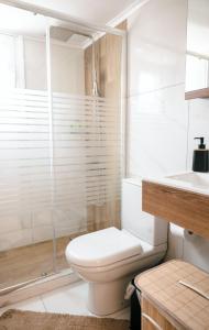 a white bathroom with a toilet and a shower at Euphoria Loft in Karfas