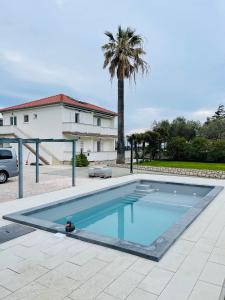 a swimming pool with a palm tree in the background at Rab Island Apartmets - Palit in Rab