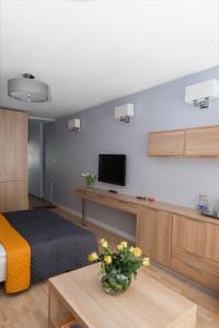 TV a/nebo společenská místnost v ubytování Biały Domek studio pomarańczowe