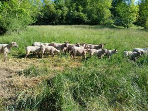 Ảnh trong thư viện ảnh của Maison vacances 8 voyageurs ở Mont-Saint-Jean +19 ảnh