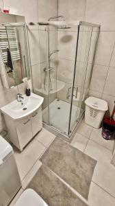 a bathroom with a shower and a sink and a toilet at Apartament "Cztery Pory Roku" in Świdnik +42 photos