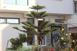 Zahrada ubytování LAFAMILIA SURF imsouane