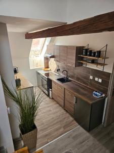 Apartmán Andromeda 주방 또는 간이 주방