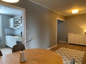 Kuchyň nebo kuchyňský kout v ubytování ÁILU - Arctic Hotel Apartments