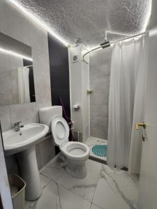 a bathroom with a toilet and a sink and a shower at Casa Daria in Costinesti +21 photos