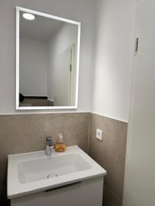 a bathroom with a white sink and a mirror at ciao-aschau Gschwendtnerhof Ap21 Kappes in Aschau +29 photos