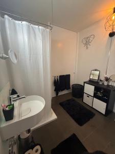 um banheiro com pia e cortina de chuveiro em LOFT by Messe Basel with a Garden and 24h Service em Basileia