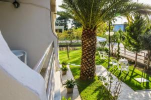 A garden outside Vlachogiannis Hotel