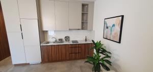 Kuchyň nebo kuchyňský kout v ubytování Apartmani Jovanovic - Rafailovici