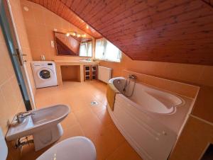 Et badeværelse på Holiday home in Balatonfenyves 35176 + 20 billeder