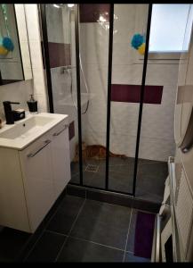 Koupelna v ubytování Chez Béné