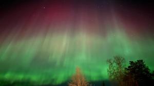 Fotografie z fotogalerie ubytování ÁILU - Arctic Hotel Apartments v destinaci Lannavaara