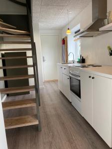 Η κουζίνα ή μικρή κουζίνα στο Cozy big apartment +13 φωτογραφίες