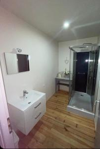 a bathroom with a shower and a sink at les bambous in Mas-Saintes-Puelles