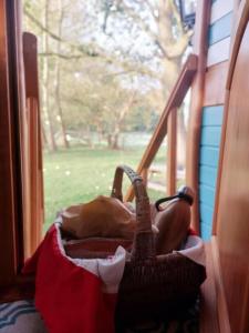 a woman laying on a window sill with her feet up at Roulotte, pleine de charme in Villers-sur-Authie +14 photos