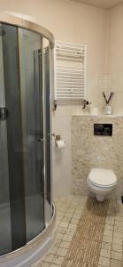 a bathroom with a toilet and a glass shower at Pension Melsungen in Melsungen +21 photos