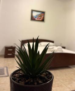Postel nebo postele na pokoji v ubytování Vila Elite