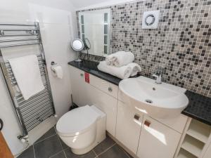 a bathroom with a toilet and a sink and a mirror at 5 Cart-Tws Bach in Haverfordwest +36 photos